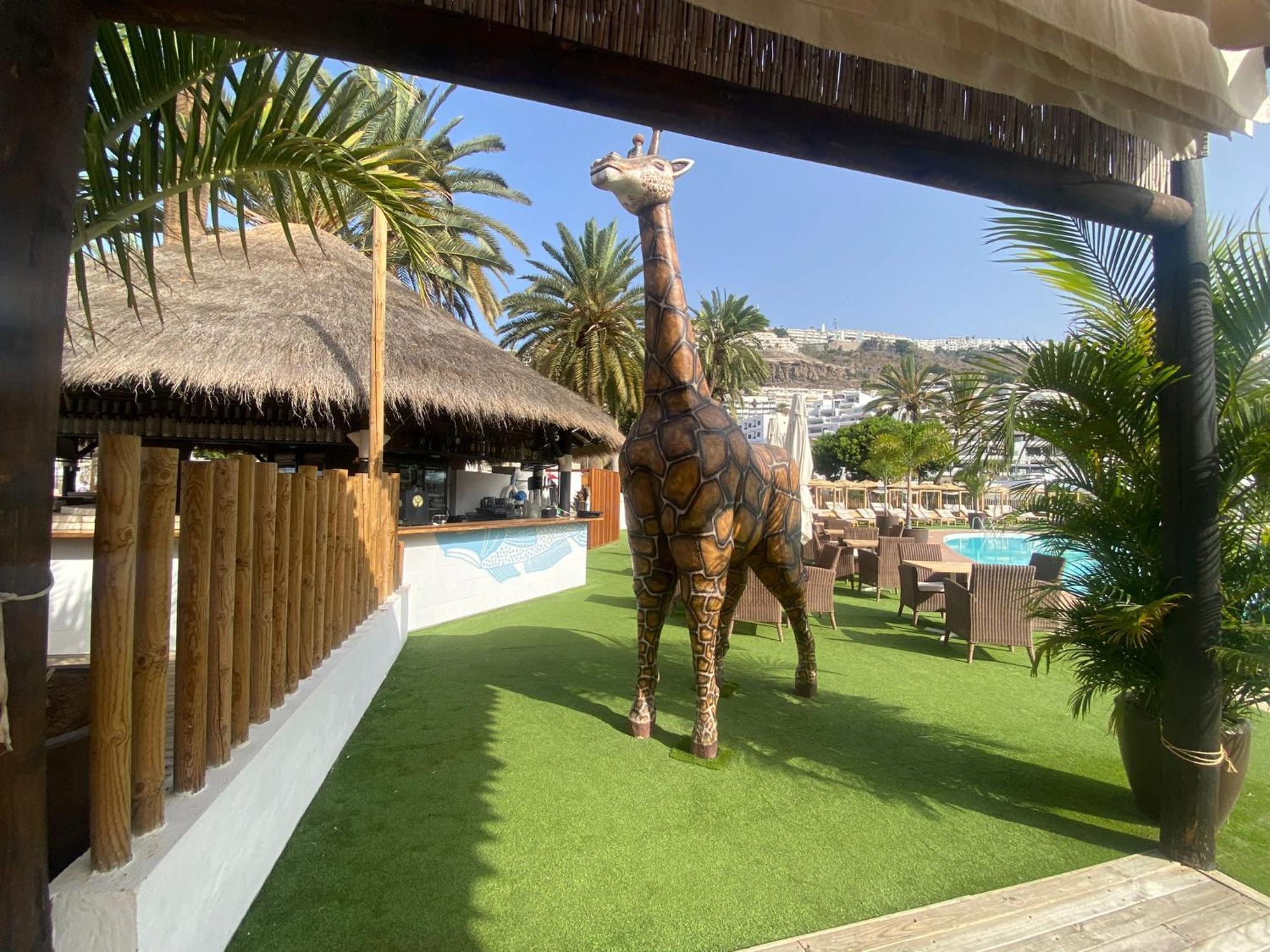 New Renovated Family Home Above Swimming Pool Puerto Rico (Gran Canaria) Exterior foto